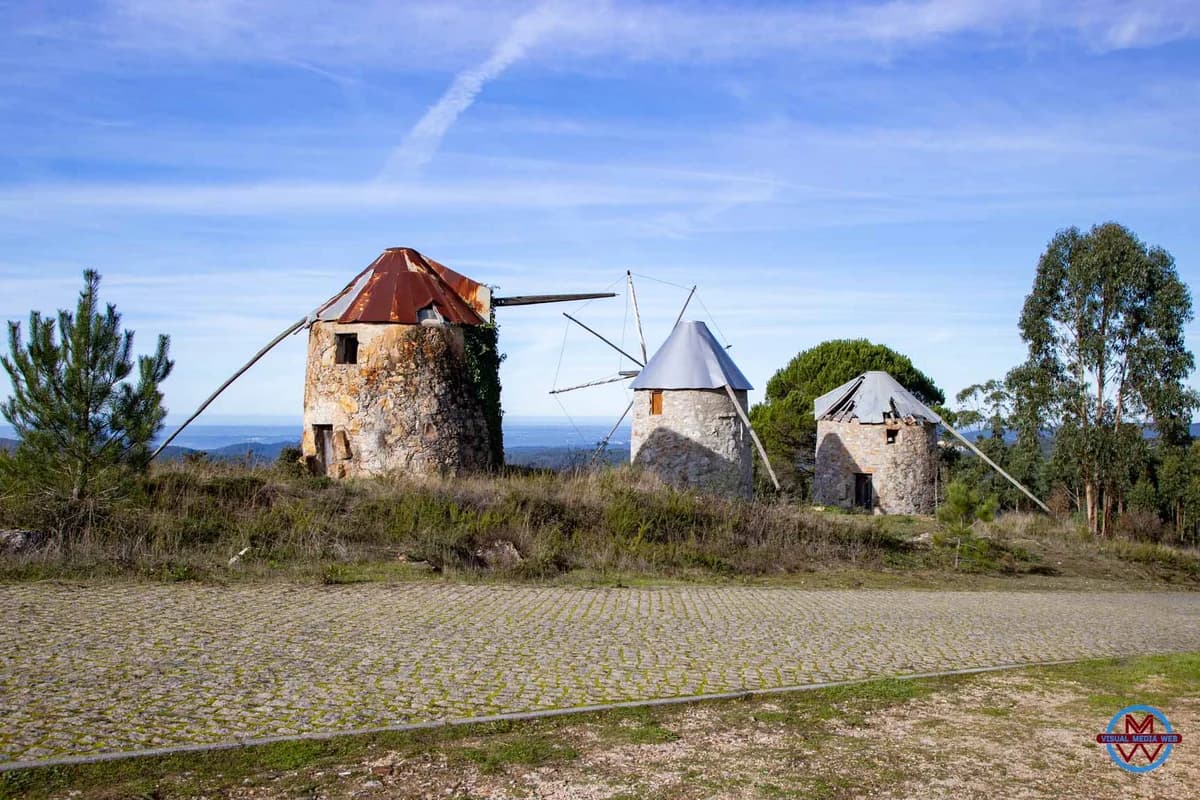 Paysage